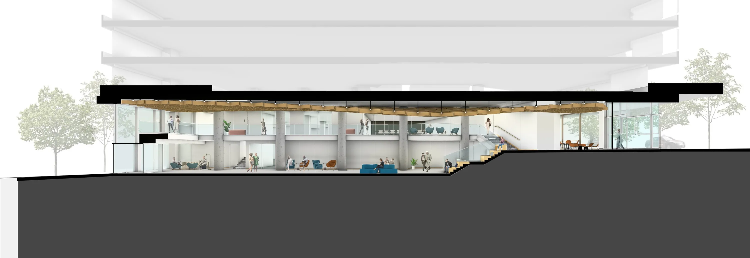 Section perspective 03082024 crop